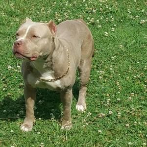 Meet your Posher, Arkansas